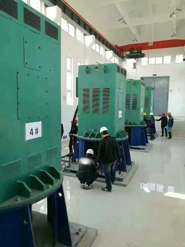 Y5601-10某污水处理厂使用我厂的立式高压电机安装现场报价