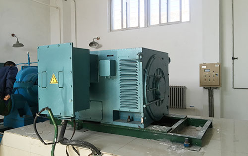 Y5601-10某水电站工程主水泵使用我公司高压电机