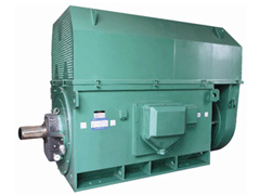 Y5601-10YKK系列高压电机